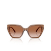 Swarovski SK6016 Sunglasses 106713 transparent brown - product thumbnail 1/4