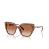 Swarovski SK6016 Sunglasses 106713 transparent brown - product thumbnail 2/4