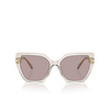 Swarovski SK6016 Sunglasses 3003LA transparent beige - product thumbnail 1/4