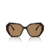 Gafas de sol Swarovski SK6017 1002M4 dark havana - Miniatura del producto 1/4