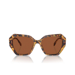 Swarovski SK6017 Sonnenbrillen 100473 medium havana