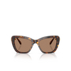 Swarovski SK6018 Sunglasses 100273 havana - product thumbnail 1/4