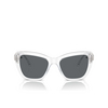 Gafas de sol Swarovski SK6018 102787 crystal - Miniatura del producto 1/4