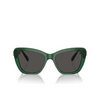 Swarovski SK6018 Sonnenbrillen 104587 transparent dark green - Produkt-Miniaturansicht 1/4