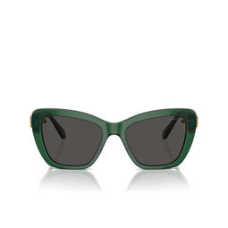 Swarovski SK6018 Sonnenbrillen 104587 transparent dark green