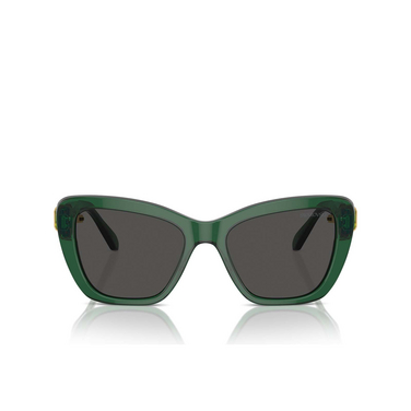 Swarovski SK6018 Sunglasses 104587 transparent dark green - front view