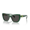 Swarovski SK6018 Sonnenbrillen 104587 transparent dark green - Produkt-Miniaturansicht 2/4