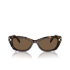 Swarovski SK6019 Sunglasses 100273 havana - product thumbnail 1/4