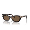 Swarovski SK6019 Sunglasses 100273 havana - product thumbnail 2/4