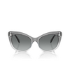 Lunettes de soleil Swarovski SK6020 104611 transparent dark grey - Vignette du produit 1/4