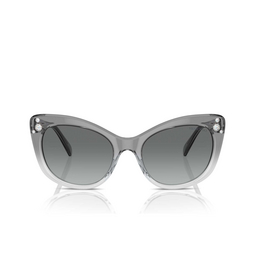 Swarovski SK6020 Sonnenbrillen 104611 transparent dark grey