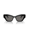 Swarovski SK6021 Sunglasses 100181 black - product thumbnail 1/4