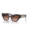 Swarovski SK6021 Sunglasses 10023B havana - product thumbnail 2/4