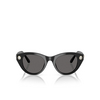 Swarovski SK6025 Sunglasses 100187 black - product thumbnail 1/4