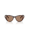 Swarovski SK6025 Sunglasses 100273 havana - product thumbnail 1/4