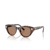 Swarovski SK6025 Sunglasses 100273 havana - product thumbnail 2/4