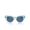 Swarovski SK6025 Sunglasses 106555 transparent light blue - product thumbnail 1/4