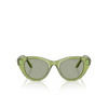 Swarovski SK6025 Sunglasses 3002/2 transparent green - product thumbnail 1/4