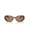 Swarovski SK6028 Sunglasses 100273 dark havana - product thumbnail 1/4