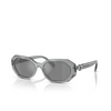 Occhiali da sole Swarovski SK6028 10626G transparent dark grey - anteprima prodotto 2/4