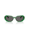 Swarovski SK6028 Sunglasses 106487 transparent green - product thumbnail 1/4