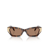 Swarovski SK6029 Sunglasses 100273 dark havana - product thumbnail 1/4