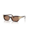 Swarovski SK6029 Sunglasses 100273 dark havana - product thumbnail 2/4