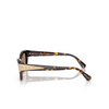 Swarovski SK6029 Sunglasses 100273 dark havana - product thumbnail 3/4