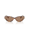 Swarovski SK6030 Sunglasses 104073 havana medio - product thumbnail 1/4