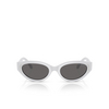 Swarovski SK6030 Sunglasses 106087 light grey - product thumbnail 1/4