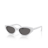 Swarovski SK6030 Sunglasses 106087 light grey - product thumbnail 2/4