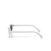 Swarovski SK6030 Sunglasses 106087 light grey - product thumbnail 3/4