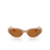 Swarovski SK6030 Sunglasses 106173 beige - product thumbnail 1/4