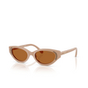 Swarovski SK6030 Sunglasses 106173 beige - product thumbnail 2/4