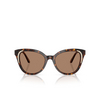 Lunettes de soleil Swarovski SK6031 100273 dark havana - Vignette du produit 1/4