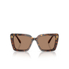 Swarovski SK6032 Sunglasses 100273 havana - product thumbnail 1/4