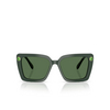 Lunettes de soleil Swarovski SK6032 102671 green - Vignette du produit 1/4