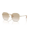 Swarovski SK7012D Sunglasses 401311 pale gold - product thumbnail 2/4