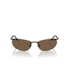 Lunettes de soleil Swarovski SK7019 400273 matte brown - Vignette du produit 1/4