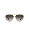 Tiffany TF3092 Sunglasses 60023C gold - product thumbnail 1/4