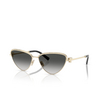 Tiffany TF3107KB Sonnenbrillen 62203C pale gold plated - Produkt-Miniaturansicht 2/4