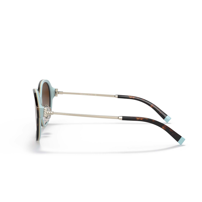 Occhiali da sole Tiffany TF4181D 81343B havana on tiffany blue - 3/4