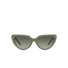 Gafas de sol Tiffany TF4195 835811 opal green - Miniatura del producto 1/4