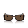 Tiffany TF4197 Sunglasses 80153G havana - product thumbnail 1/4