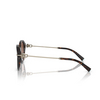 Lunettes de soleil Tiffany TF4210D 80153B havana - Vignette du produit 3/4