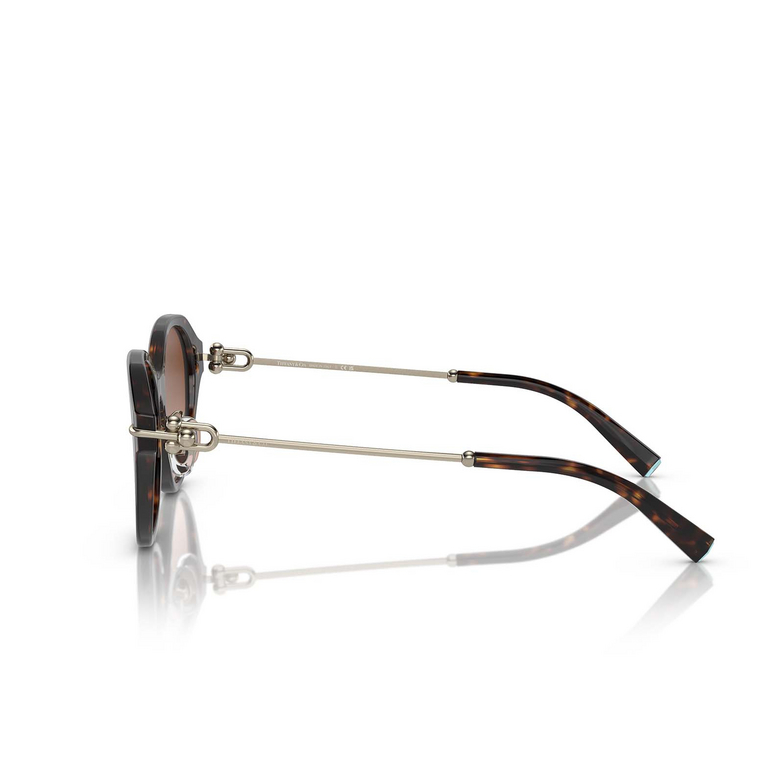 Lunettes de soleil Tiffany TF4210D 80153B havana - 3/4