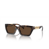 Tiffany TF4213 Sunglasses 80153G havana - product thumbnail 2/4