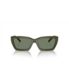 Gafas de sol Tiffany TF4213 839882 green - Miniatura del producto 1/4