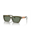 Gafas de sol Tiffany TF4213 839882 green - Miniatura del producto 2/4