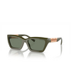 Occhiali da sole Tiffany TF4213 839882 green - anteprima prodotto 2/4